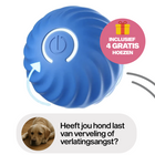 Actieve RollBall™ – Therapeutisch speelgoed voor eindeloos hondenplezier!
